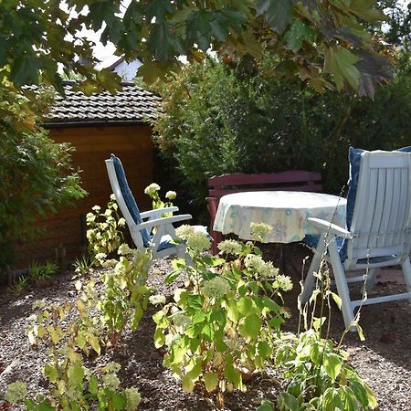 Heidi'S Haeuschen Διαμέρισμα Schollbrunn Εξωτερικό φωτογραφία